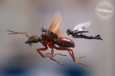 ant-man-wasp-800x533