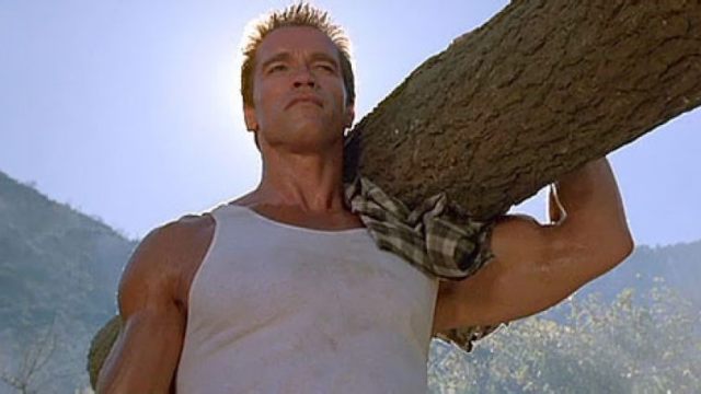 arnold-carrega-tronco